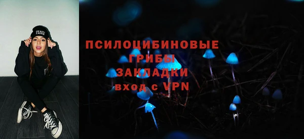 гидра Алексин