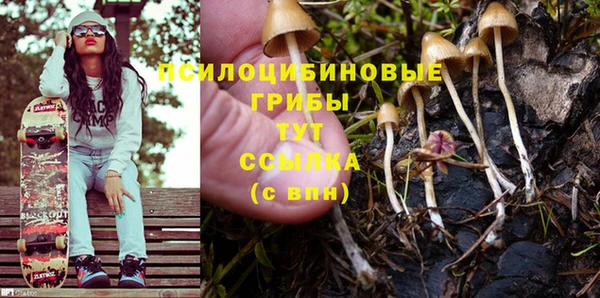 дживик Алексеевка