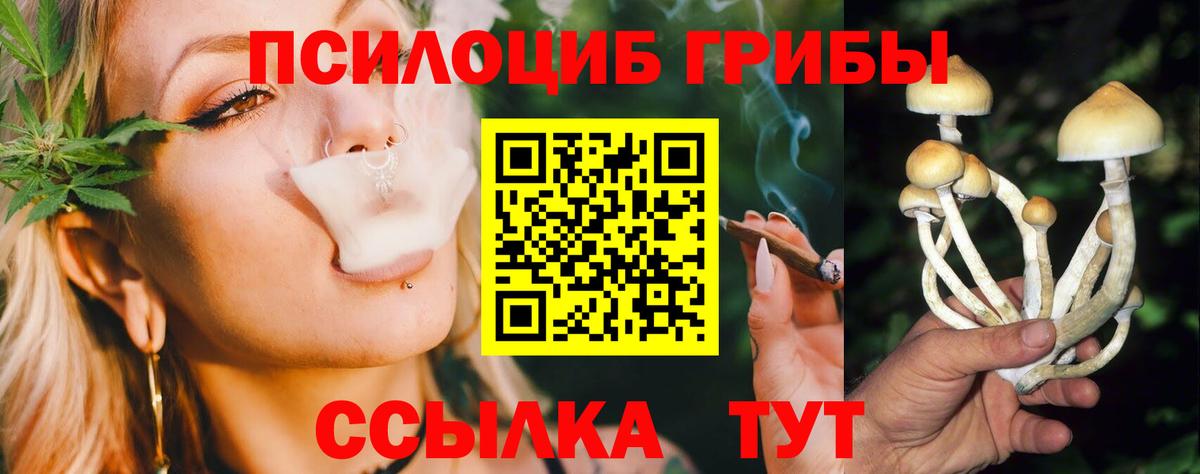 Галлюциногенные грибы Psilocybe Волхов