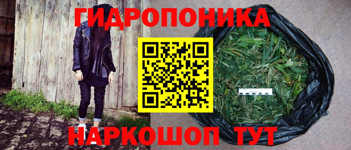 Каннабис конопля  Вход с VPN  Шишки марихуана Ganja  Волхов  Канабис OG Kush  Каннабис OG Kush 